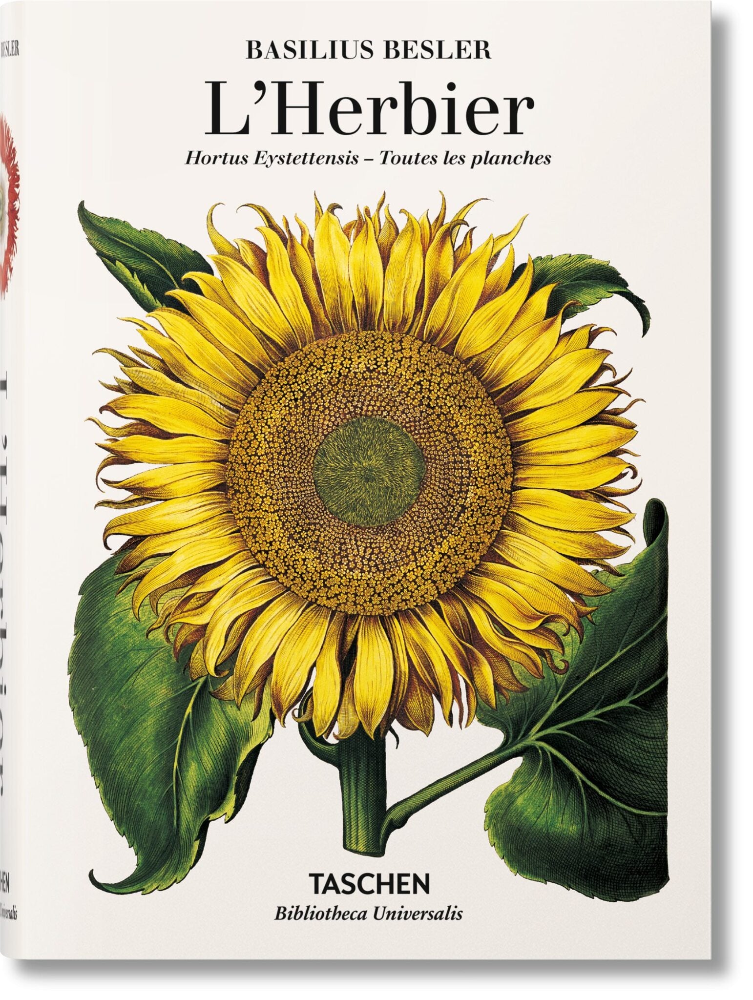 Cover image for Basilius Besler. L'Herbier. Hortus Eystettensis ISBN 9783836557863